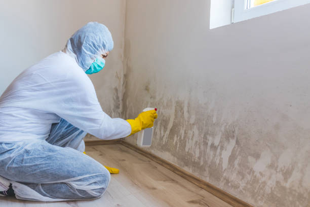 Mold Remediation specialist working in Clifton